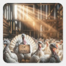 Recherche de humour dinde thanksgiving autocollants Pour tous