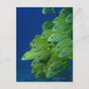 Recherche de banc cartes postales Nature