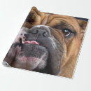 Recherche de de bouledogue français papier cadeau Animaux