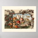 Recherche de sed Vintage