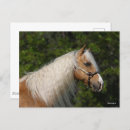 Recherche de cheval de palomino cartes postales Bob langrish