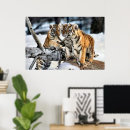 Recherche de jeu trois posters Animaux sauvages