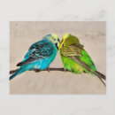 Recherche de perruche bleue cartes postales Vert