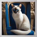 Recherche de de chat siamois posters Blanc