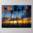 Zoek naar iwantmyartatzazzle10 posters Natuur