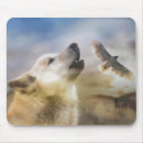 Recherche de sud américain tapis souris Faune