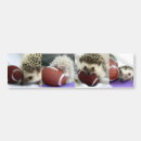 Zoek naar egel bumperstickers Hedgie