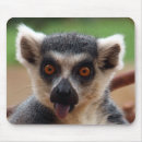 Recherche de lemur tapis souris Mignon