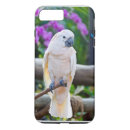 Zoek naar wortels iphone hoesjes Dieren