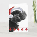 Recherche de caniche jouet vœux cartes Vacances