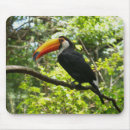Recherche de oiseau exotique tapis souris Toucan