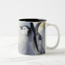 Recherche de poussins tasses Humour