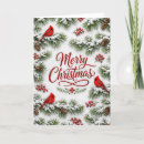 Recherche de carte de cardinale noël cartes Nature
