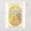 Recherche de anatomique cartes postales Illustration