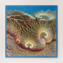 Recherche de corail puzzles Vie marine