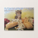 Recherche de ballerinas puzzles Ballerine