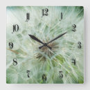 Recherche de de pissenlit horloges Herbe