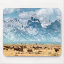 Recherche de montagnes de teton Nature