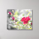 Zoek naar rode rozen kunst Natuur