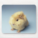 Recherche de parqueter tapis souris Nature