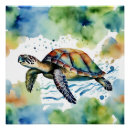 Recherche de tortue de mer posters Océan