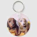 Recherche de canines porteclés Dogs