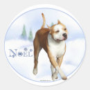 Recherche de staffordshire autocollants Amstaff