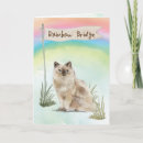 Recherche de sympathie de chat vœux cartes Blanc
