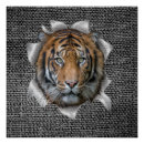 Recherche de bengal tiger posters Tigre