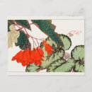 Recherche de bégonias cartes postales Floral