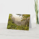 Recherche de paysage brumeux vœux cartes Forêt