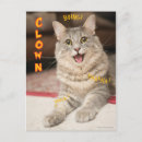 Recherche de chat grincheux cartes postales Pelucheux