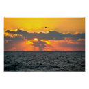 Zoek naar strand zonsopgang posters Ocean