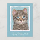 Recherche de original cartes postales Tabby