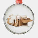 Recherche de golden retriever ornements Chien d'arrêt