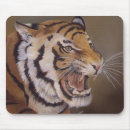 Recherche de tigre tapis souris Chats