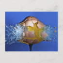 Recherche de détruit cartes postales Endommagé