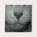 Recherche de nez art Faune