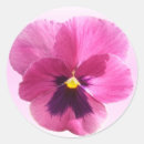 Zoek naar altviool stickers Paniek