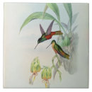 Recherche de beaux arts carreaux Oiseaux