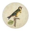 Recherche de petit oiseau planches à découper Domestique