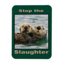Recherche de loutre magnets Loutres de mer