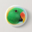 Recherche de perroquet vert badges Oiseau