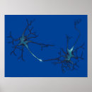 Recherche de neurologie posters Synapse