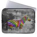 Recherche de gai coques Gay pride