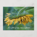 Recherche de bourdons cartes postales Fleurs