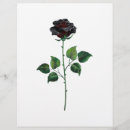 Recherche de rose noir prospectus Fleur