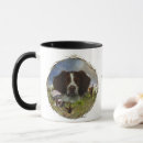 Recherche de epagneul tasses Brittany