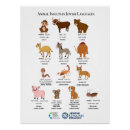 Recherche de insultes posters Animal