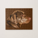 Recherche de laboratoire puzzles Animaux familiers
